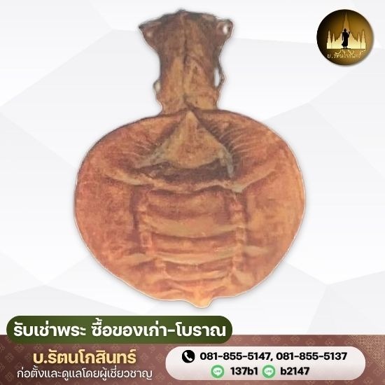 รับซื้อกระเพาะปลาโบราณ