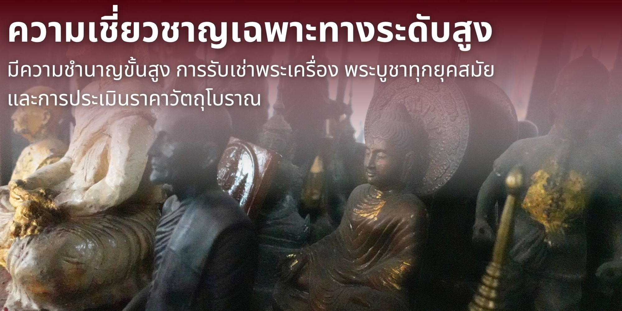ความเชี่ยวชาญเฉพาะทางระดับสูง